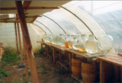 hydrolate
