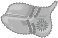 kissen1